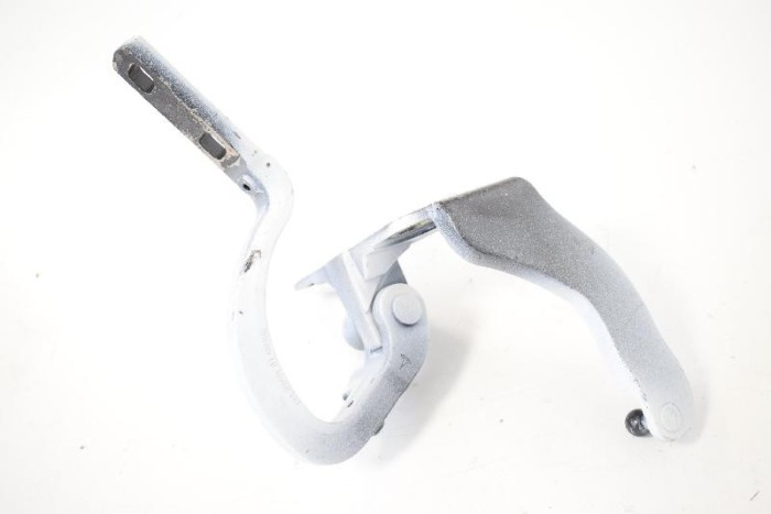 Balama ușă dreapta spate TESLA MODEL X 2017 OEM: 1898789 | 3619001