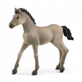 Figurina - Criollo Definitivo Foal | Schleich