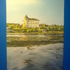 Carte Postala - Romania - Techirghiol - Pe malul lacului "CP115"