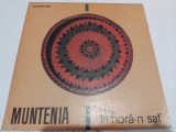 Disc vinil seria La hora-n sat - Muntenia