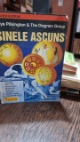 SINELE ASCUNS - MAYA PILKINGTON