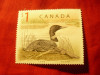 Timbru Canada 1998 - Pasare - Rata salbatica , val. 1$ , fara guma, Nestampilat