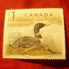 Timbru Canada 1998 - Pasare - Rata salbatica , val. 1$ , fara guma