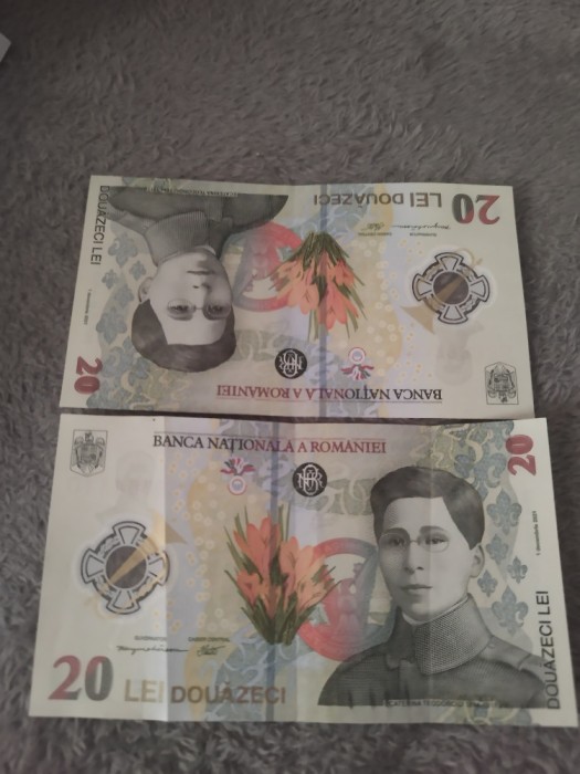 Colecție de bani