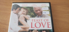 Film DVD Feast of Love ENG #61050FLO foto