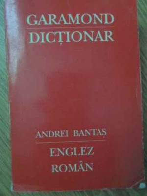 Mic dictionar englez-roman foto