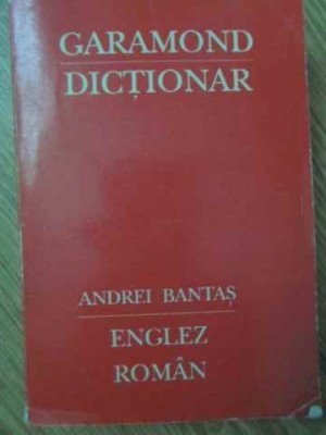 Mic dictionar englez-roman foto