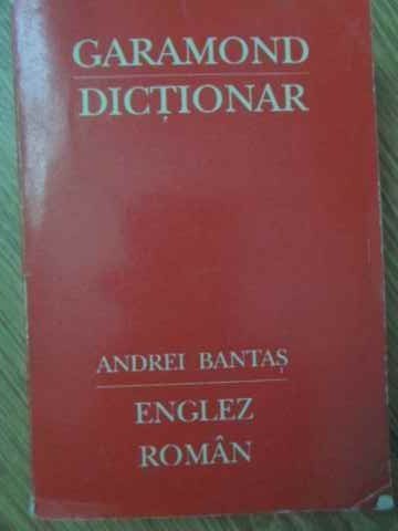 Mic dictionar englez-roman