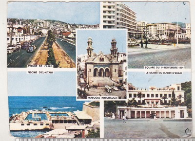 bnk cp Algeria - Alger - Vedere - necirculata foto
