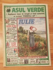 Revista Asul Verde Nr. 40 / 2007 (iulie 2007)