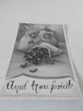 Felicitare veche romaneasca tip fotografie Anul Nou fericit, trifoi cu patru foi