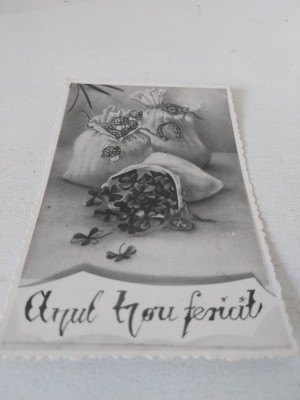 Felicitare veche romaneasca tip fotografie Anul Nou fericit, trifoi cu patru foi foto