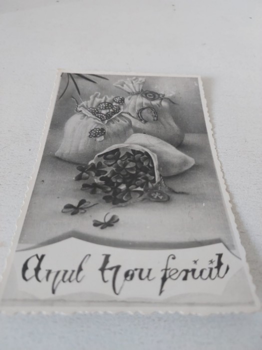 Felicitare veche romaneasca tip fotografie Anul Nou fericit, trifoi cu patru foi