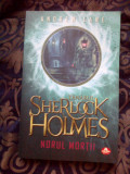 N7 Tanarul Sherlock Holmes. Norul Mortii - Andrew Lane