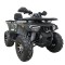 Atv 200cc Tao Shark Fourcraft 4T benzina 10&amp;quot; Verde