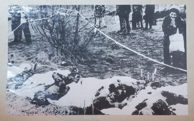 TIMISOARA , VICTIMELE NEIDENTIFICATE EXPUSE PUBLIC , FOTOGRAFIE , DECEMBRIE , 1989 foto