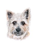 Cumpara ieftin Sticker decorativ Caine Cairn Terrier , Gri, 69cm, 3711ST, Oem