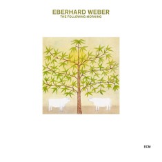 The Following Morning | Eberhard Weber