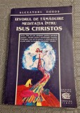 Izvorul de tamaduire meditatia intru Isus Hristos Al. Dobos