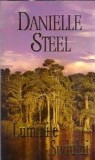 Luminile Sudului - Danielle Steel