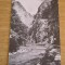 QW27 V - Carte postala - tematica turism - vedere - Romania - Valea Argesului 1