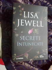 n7 Secrete intunecate - Lisa Jewell foto