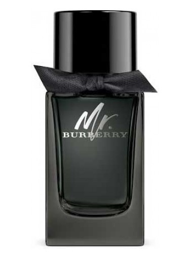 Burberry, Mr. Burberry, Apă de toaletă, 30 ml