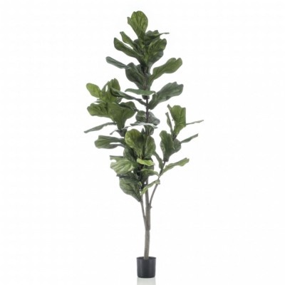 Emerald Ficus artificial Lyrata 160 cm foto