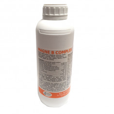 Complex de vitamina B pentru animale, Magne B Complex, Pasteur, 1L