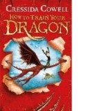 How to Train Your Dragon: How To Train Your Dragon - Cressida Cowell