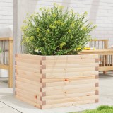 Cumpara ieftin Jardinieră de grădină, 60x60x45,5 cm, lemn masiv de pin
