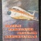 BAZELE FABRICATIEI NAVELOR AEROSPATIALE - Nica, Gugui