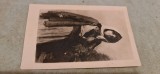 N.Grigorescu - Tiganca din Ghergani.
