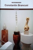 Constantin Brancusi - Album de buzunar, 2017, Centrul Pompidou, Ilustratii Color, 65 pagini