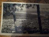 1946 Carte Postala HAIFA panorama Israel timbre PALESTINA iudaica circulata Buc, Fotografie