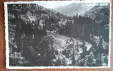 Carte postala, Ilva Mică, Bistrita-nasaud, 1943