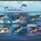 St.Vincent - Fauna Marina - DELFINI din CARAIBE - BL - MNH