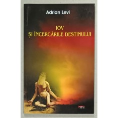IOV SI INCERCARILE DESTINULUI de ADRIAN LEVI , ANII &#039;2000