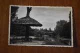 Craiova Parcul Romanescu Ciuperca 1938, Circulata, Printata