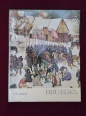 Ion Biberi - Pieter Bruegel cel Batrin foto