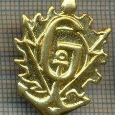 Y 1819 INSIGNA - MILITARA -SEMN DE ARMA - GENIU -PENTRU COLECTIONARI