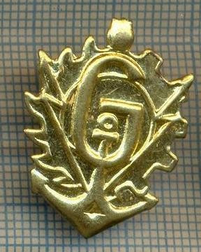 Y 1819 INSIGNA - MILITARA -SEMN DE ARMA - GENIU -PENTRU COLECTIONARI foto