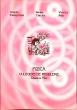 FIZICA. CULEGERE DE PROBLEME CLASA A VI-A-MAGDA PANAGHIANU, DOINA TURCITU, VIORICA POP-261349