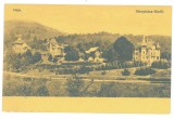5618 - MONEASA, Arad, Panorama, Romania - old postcard - unused