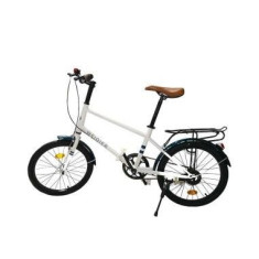 Bicicleta pentru copii cu portbagaj cadru metalic 20 inch