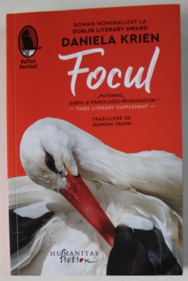 FOCUL , roman de DANIELA KRIEN , 2024 foto
