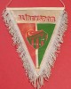 Fanion fotbal - ALIBEYSPOR (Turcia)