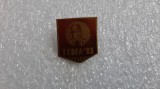 Insigna Tebea 1988