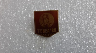 Insigna Tebea 1988 foto