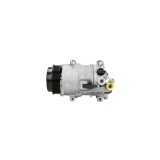 Compresor Clima Mercedes-Benz A-Class W169 Denso Dcp17106